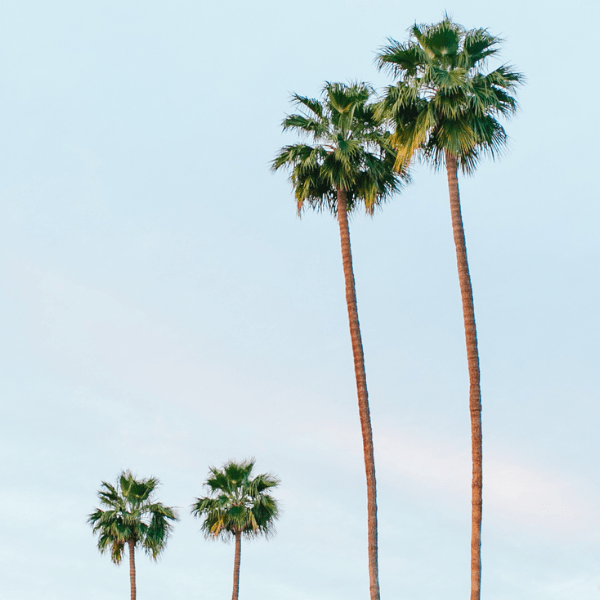 Breaking Barriers: Conquering Challenges as a Female&nbsp;Entrepreneur