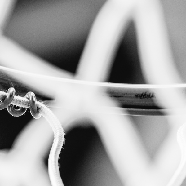 Transitioning from the Spotlight: Navigating Life after Competitive&nbsp;Athletics